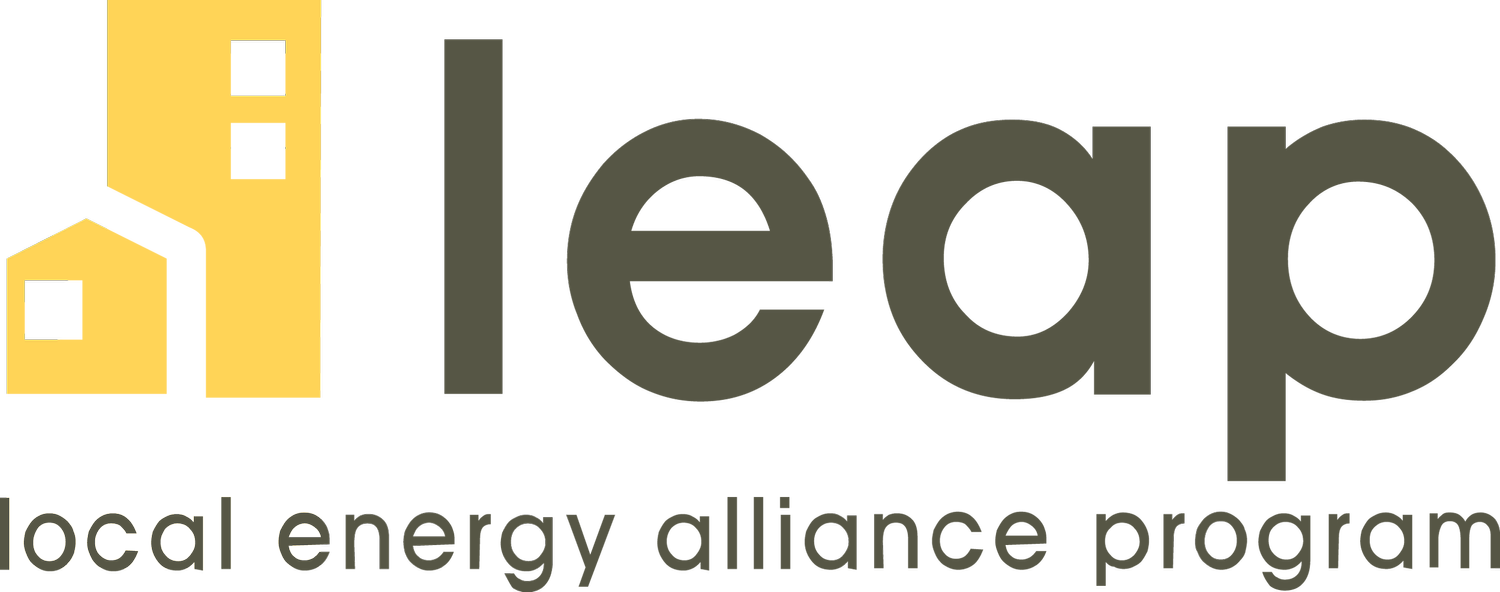 LEAP Logo